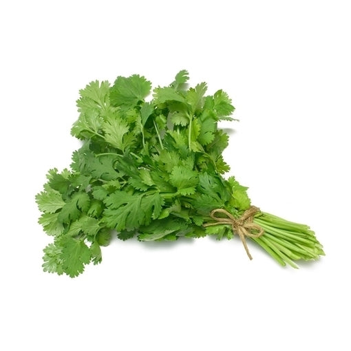 Coriander (50g)