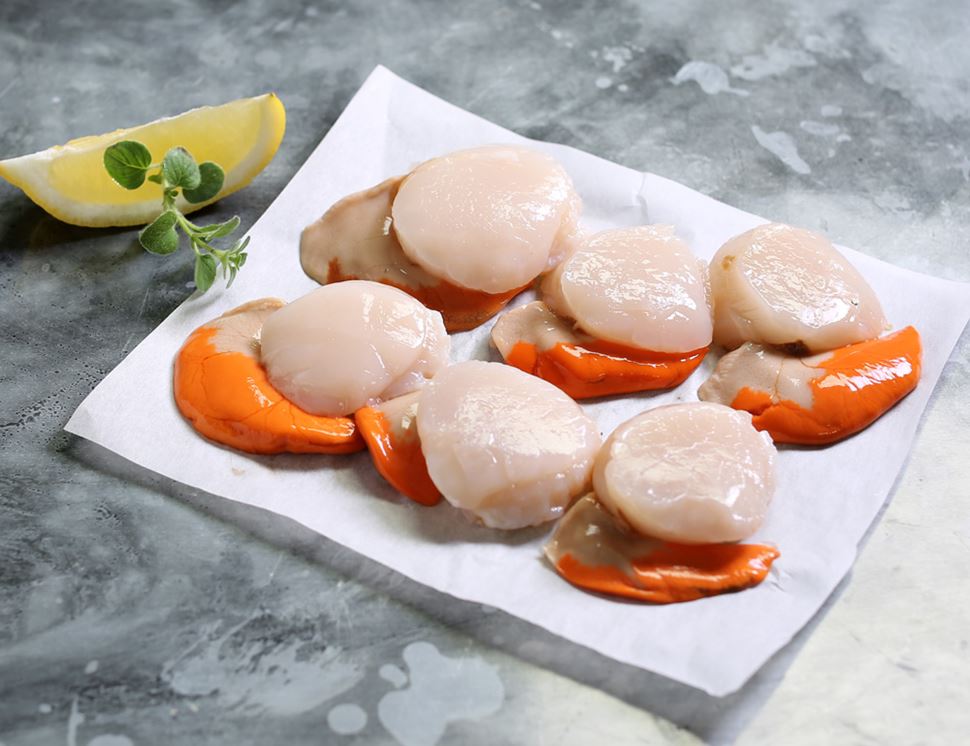 Hand dived scallops (Six)