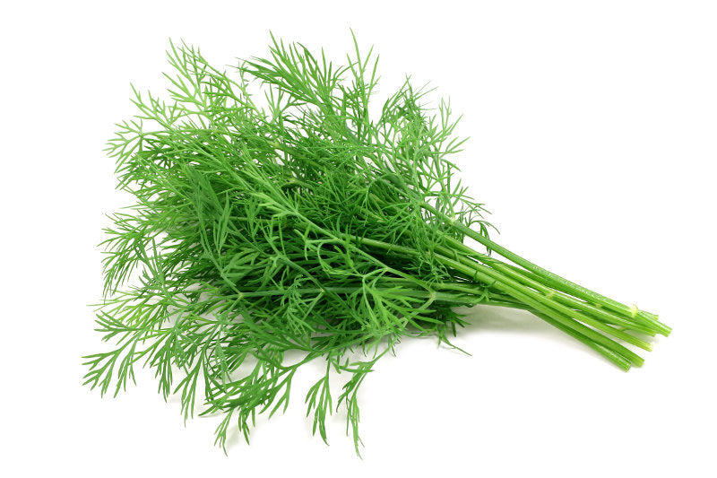 Dill (50g)