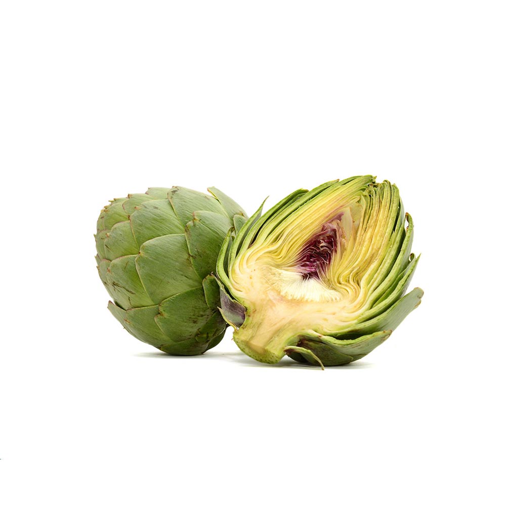 Globe Artichoke