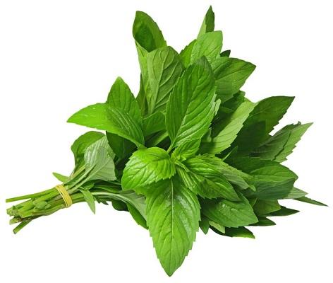 Fresh Mint (50g)