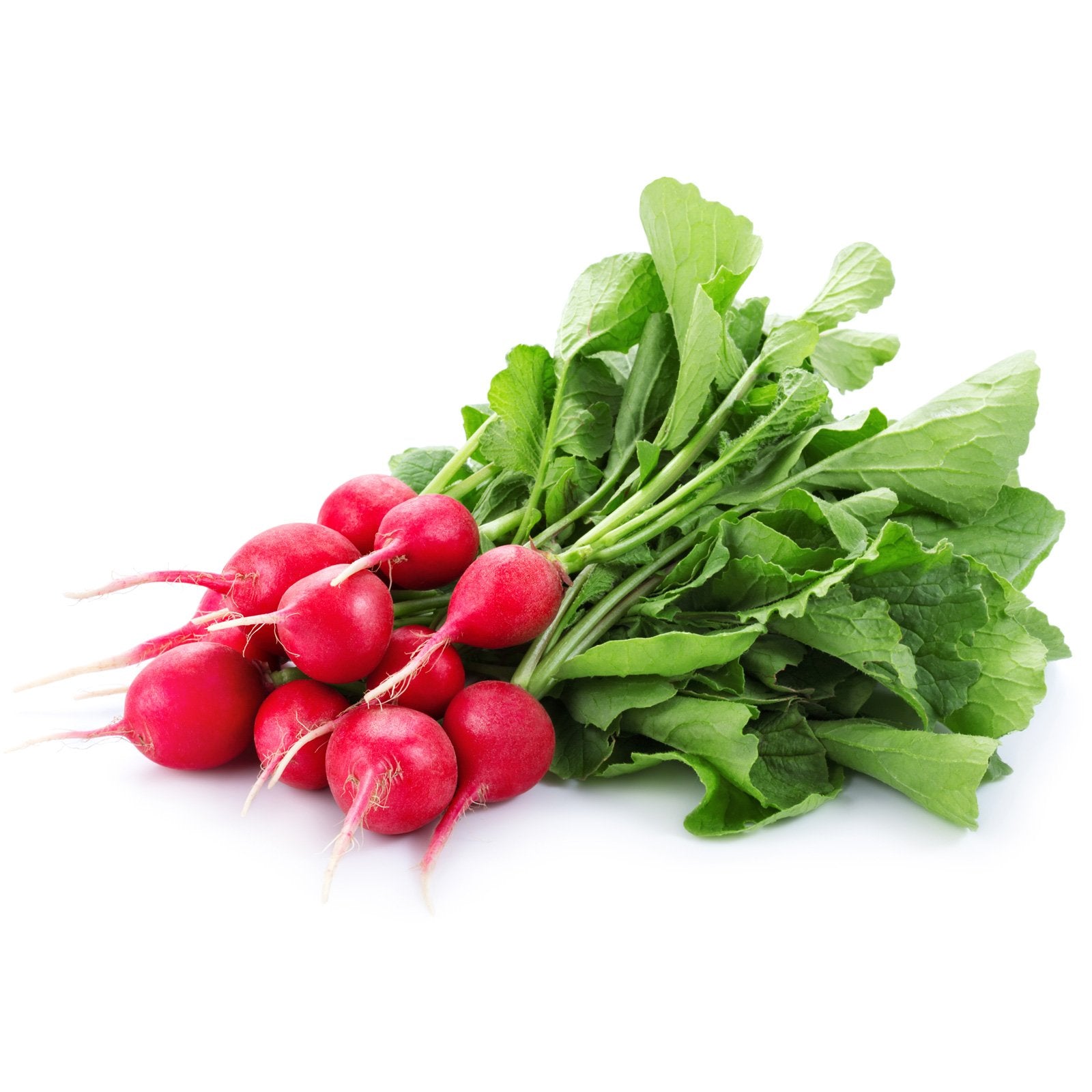 Raddish (1 bunch)