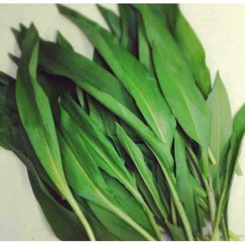 Wild Garlic Leaf (100g)