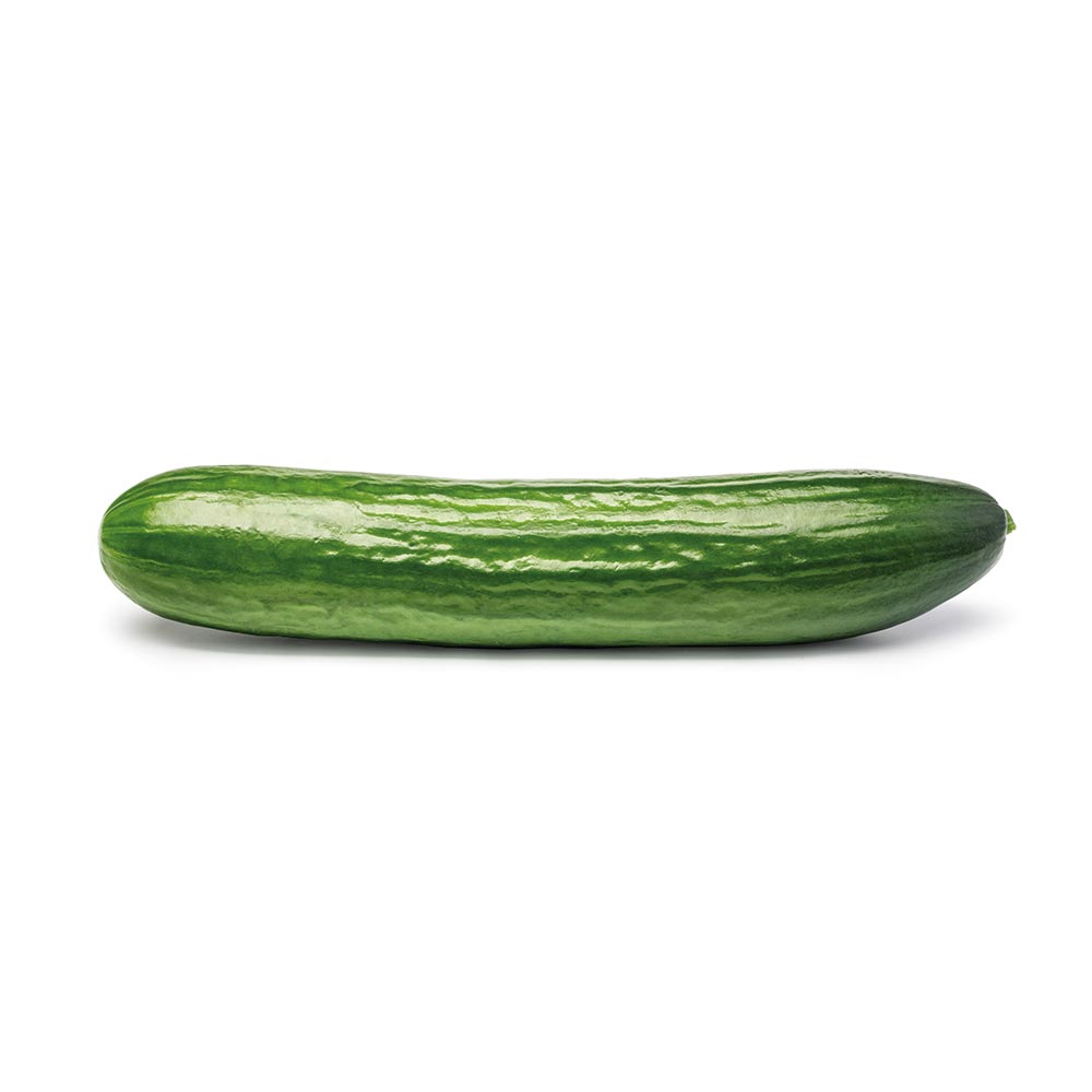 Organic Large Cucumber