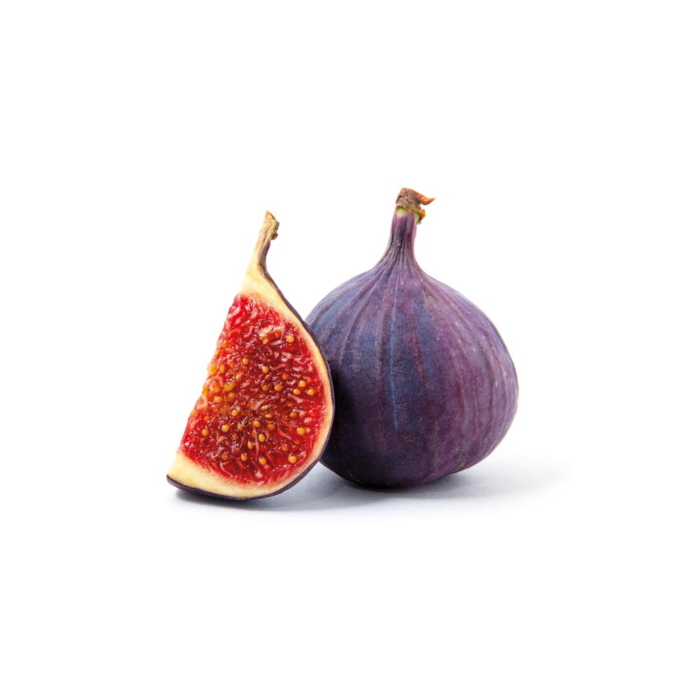 Fig