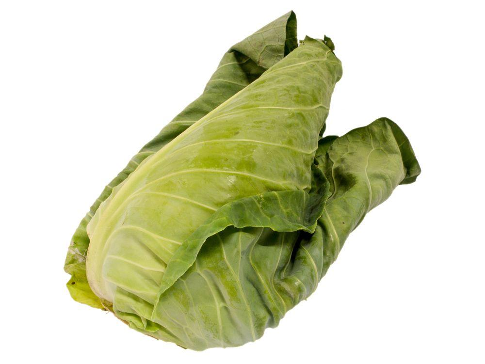 Hispi Cabbage