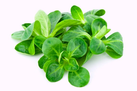 Lambs Lettuce (125g)