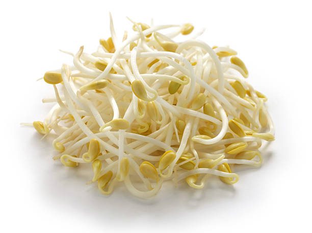 Beansprouts (250g)