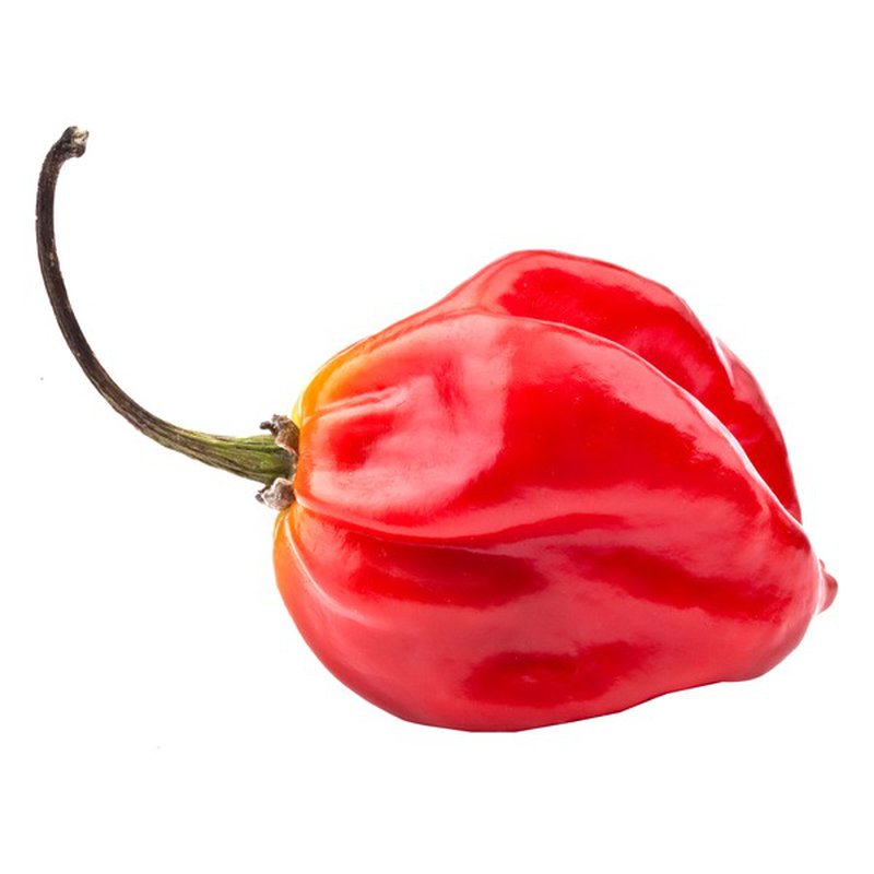 Scotch Bonnet (100g)