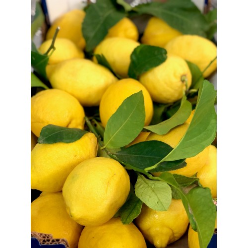 Italian Unwaxed Natural Lemon (One)