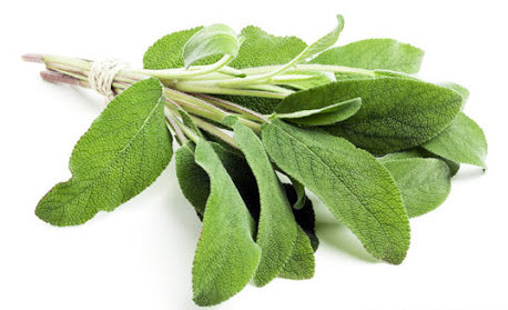 Sage (50g)