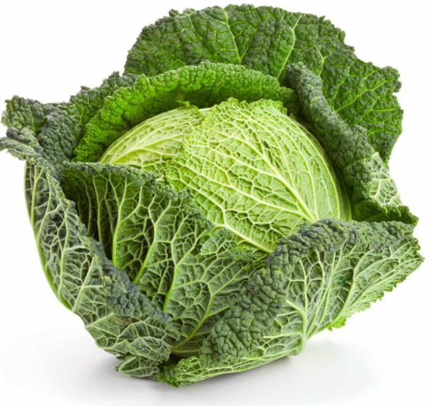 Organic Savoy Cabbage